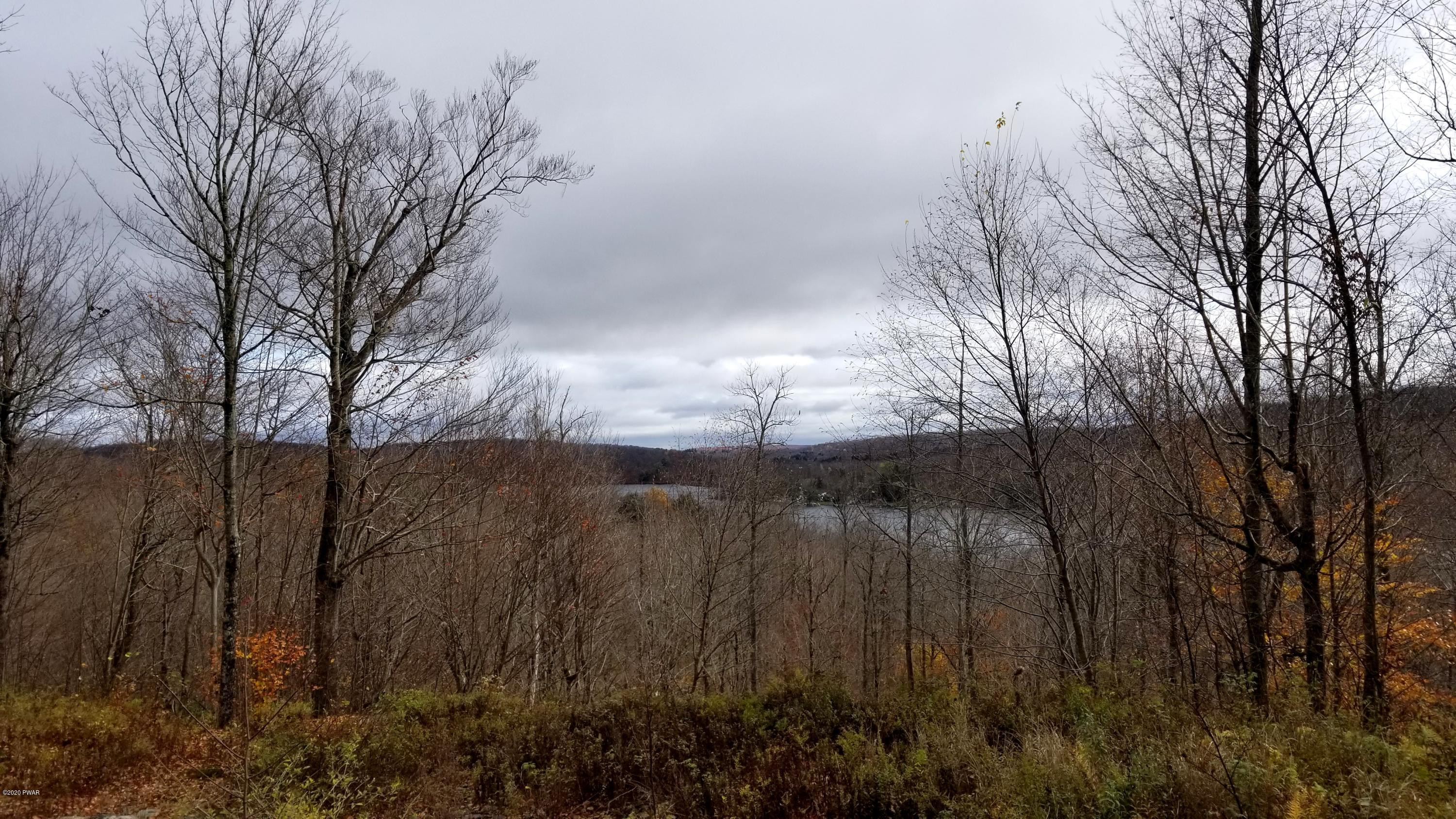 Lot 63 Old Woods Road Equinunk, PA 18417 - Photo 14 of 63