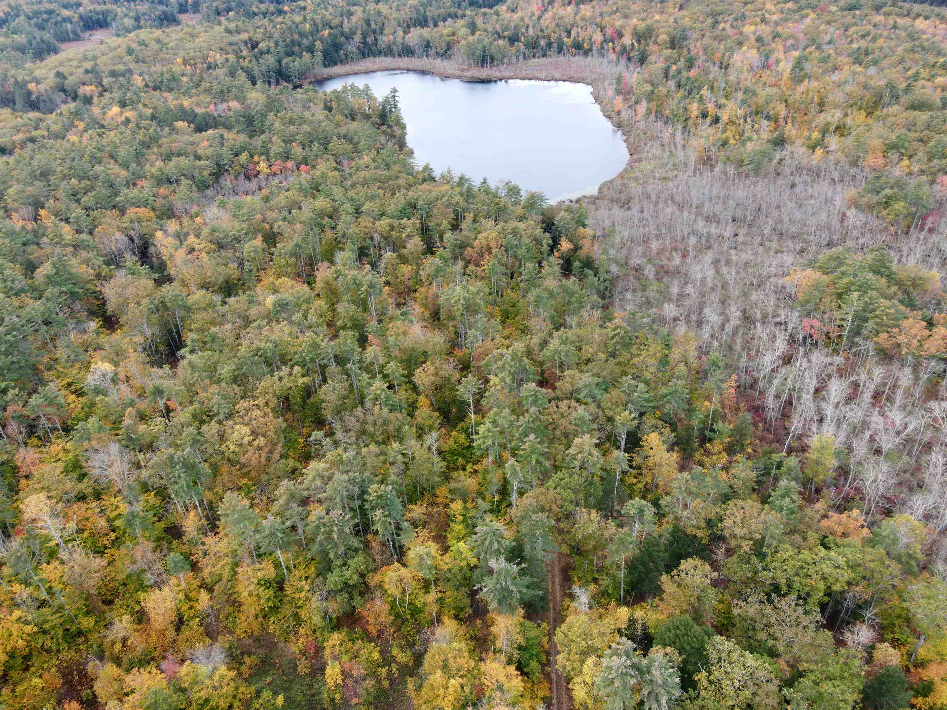 Kenison Pond Road Nottingham, NH 03290 - Photo 10 of 11