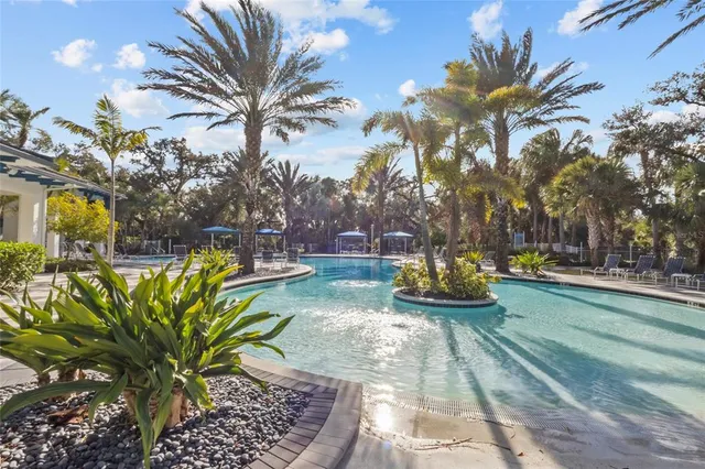 a view of a yard with plants and large trees