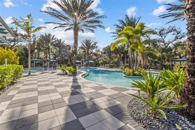 a view of a yard with plants