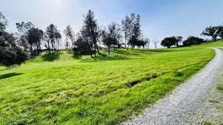 a view of a golf course