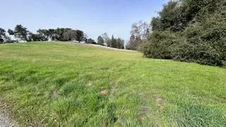 a view of a field of grass and trees