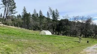 a view of a field