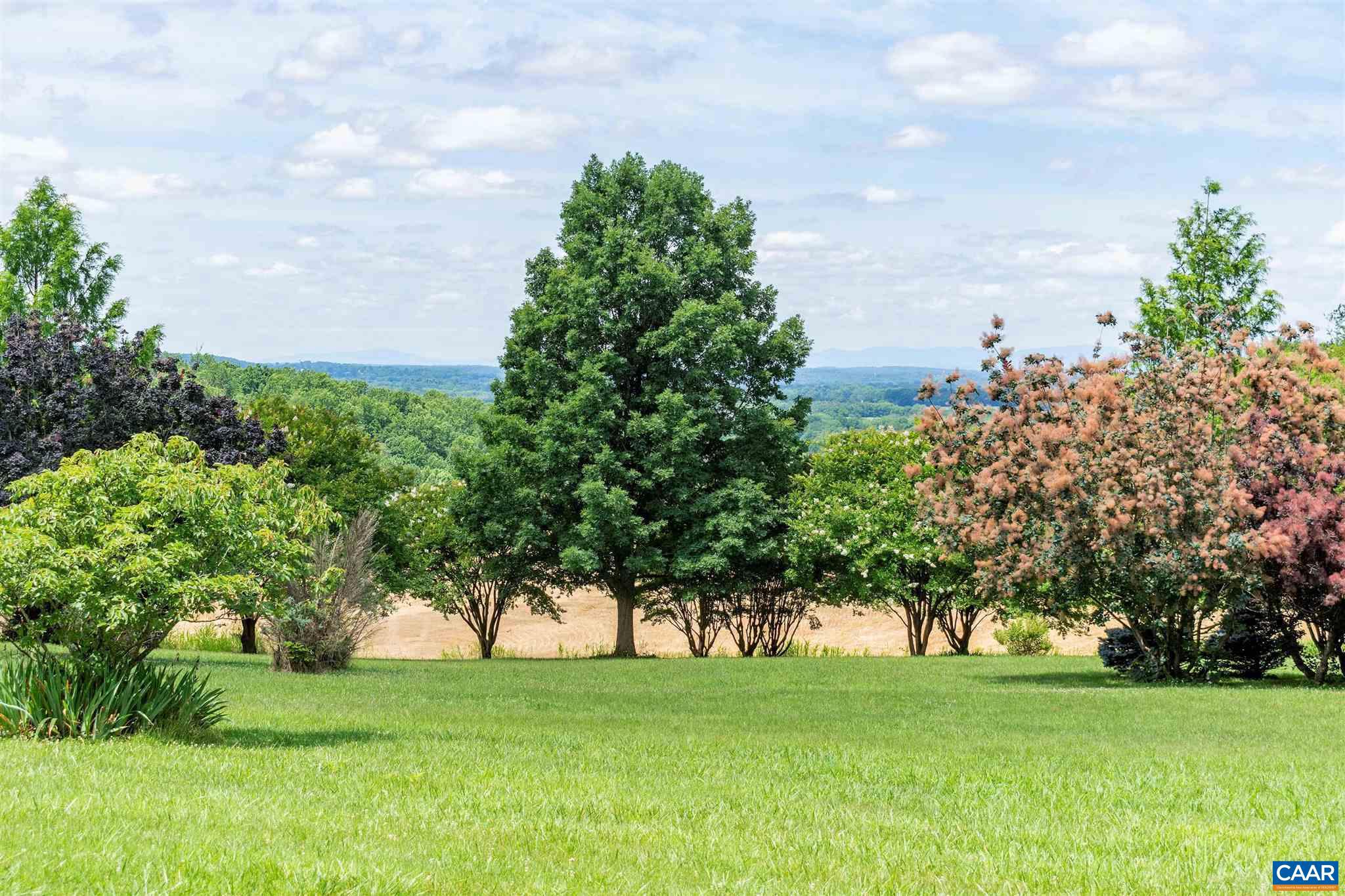 20634 River Road Rapidan, VA 22733 - Photo 6 of 61 Gallery Image 6