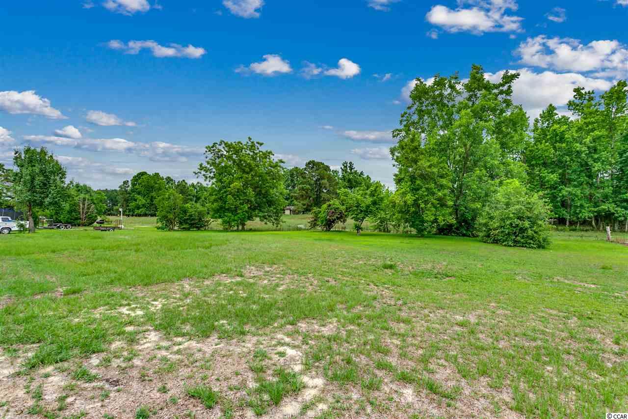 515 Floyd Page Road Galivants Ferry, SC 29544 - Photo 16 of 18 Gallery Image 16