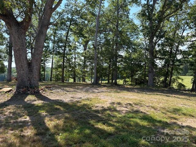 138 Stacey Road Rutherfordton, NC 28139 - Photo 17 of 17