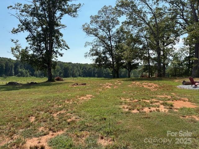 138 Stacey Road Rutherfordton, NC 28139 - Photo 8 of 17