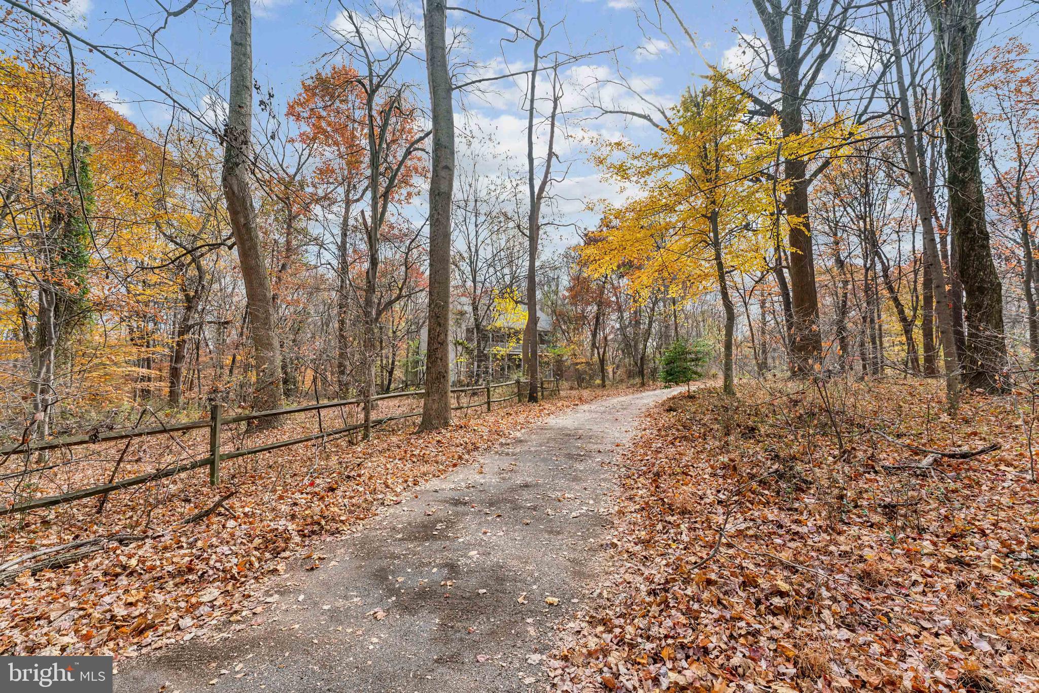 9211 Slate Quarry Road Dickerson, MD 20842 - Photo 4 of 14 Private road leads to circular driveway