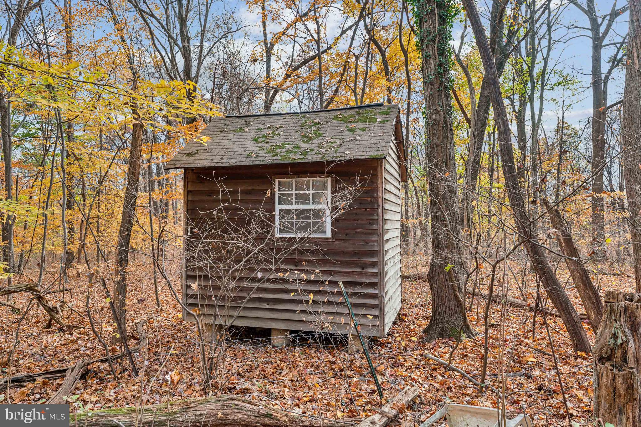 9211 Slate Quarry Road Dickerson, MD 20842 - Photo 9 of 14 Shed on property