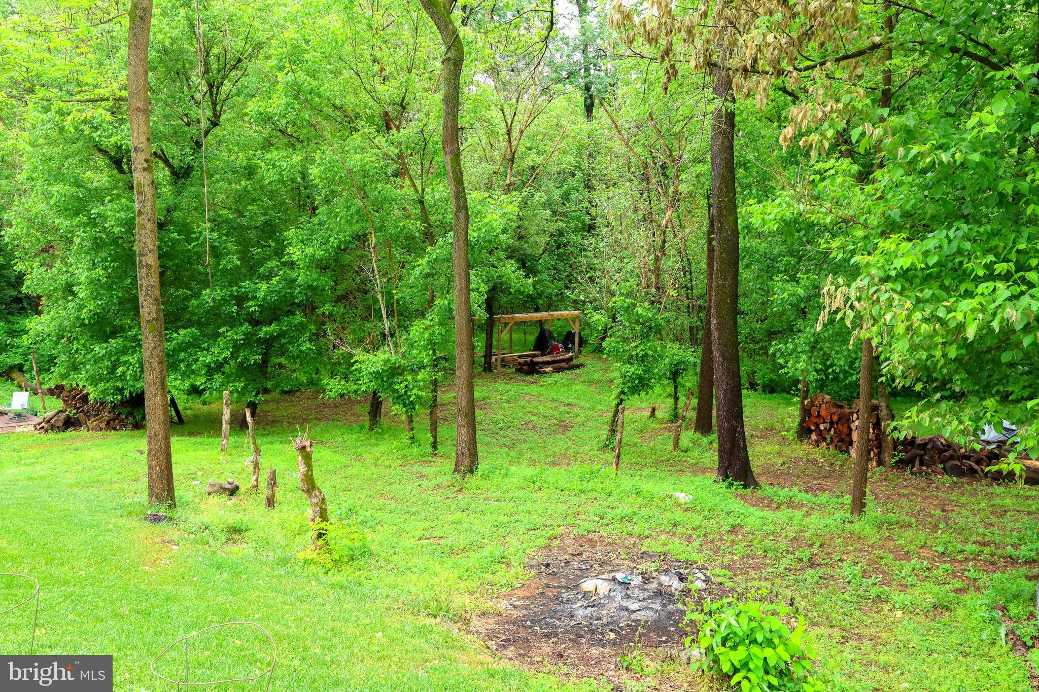 16919 Shaffer Road Sharpsburg, MD 21782 - Photo 49 of 58
