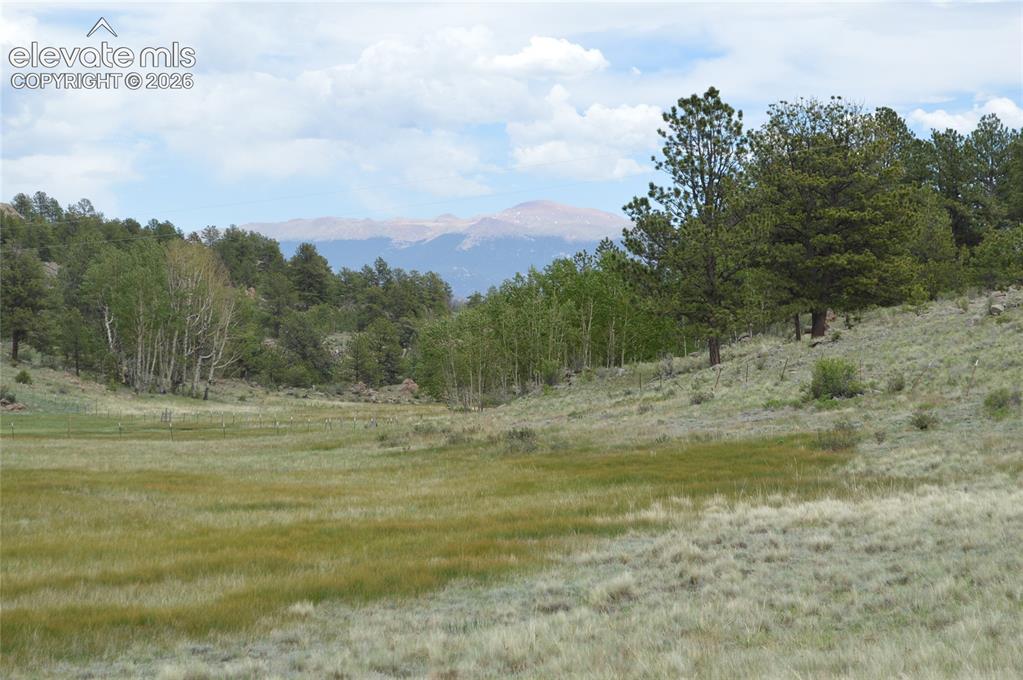 344 Valley Road Guffey, CO 80820 - Photo 12 of 15 a view of beach and trees