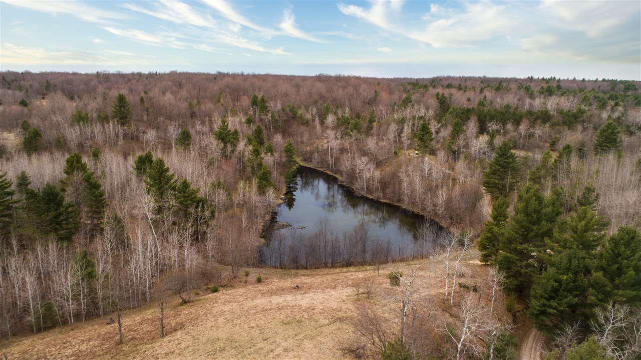 2022 Dockery Road Williamsburg, MI 49690 - Photo 25 of 52 1874131-25.JPG