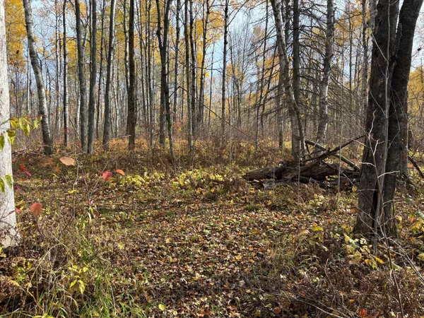 $115,000 | 2757 Erickson Road, Kettle River, MN 55757