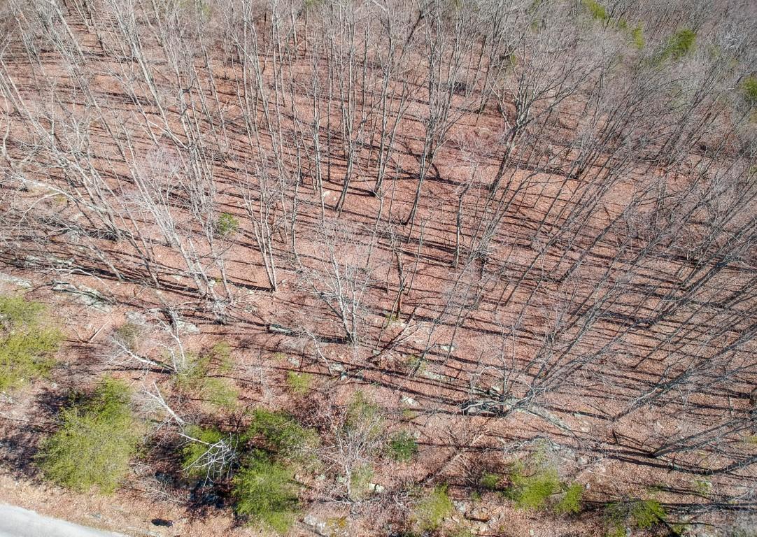 5.03-ac Highlander Road Grandview, TN 37337 - Photo 19 of 31 Highlander 10.1 Acres (9)