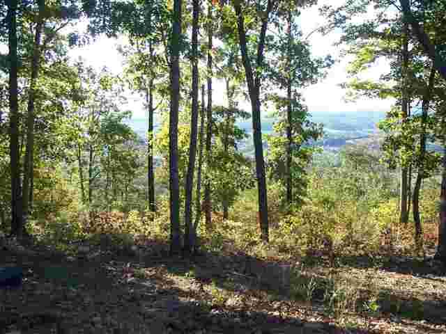 5.03-ac Highlander Road Grandview, TN 37337 - Photo 10 of 31 9