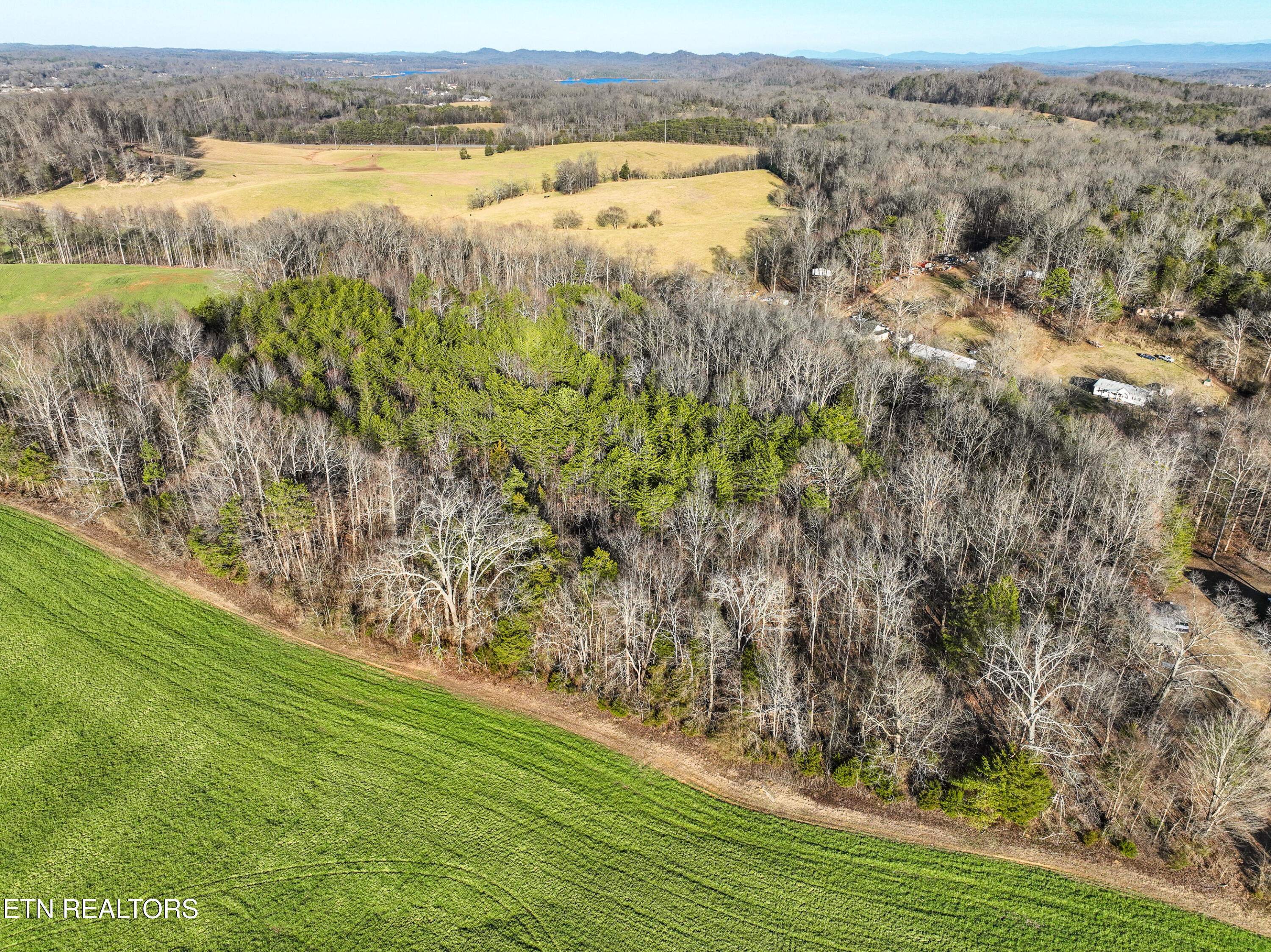Knob Road Vonore, TN 37885 - Photo 2 of 6 DJI_0162