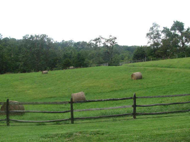 10326 Mt Zion Road Linville, VA 22834 - Photo 13 of 20 Gallery Image 13