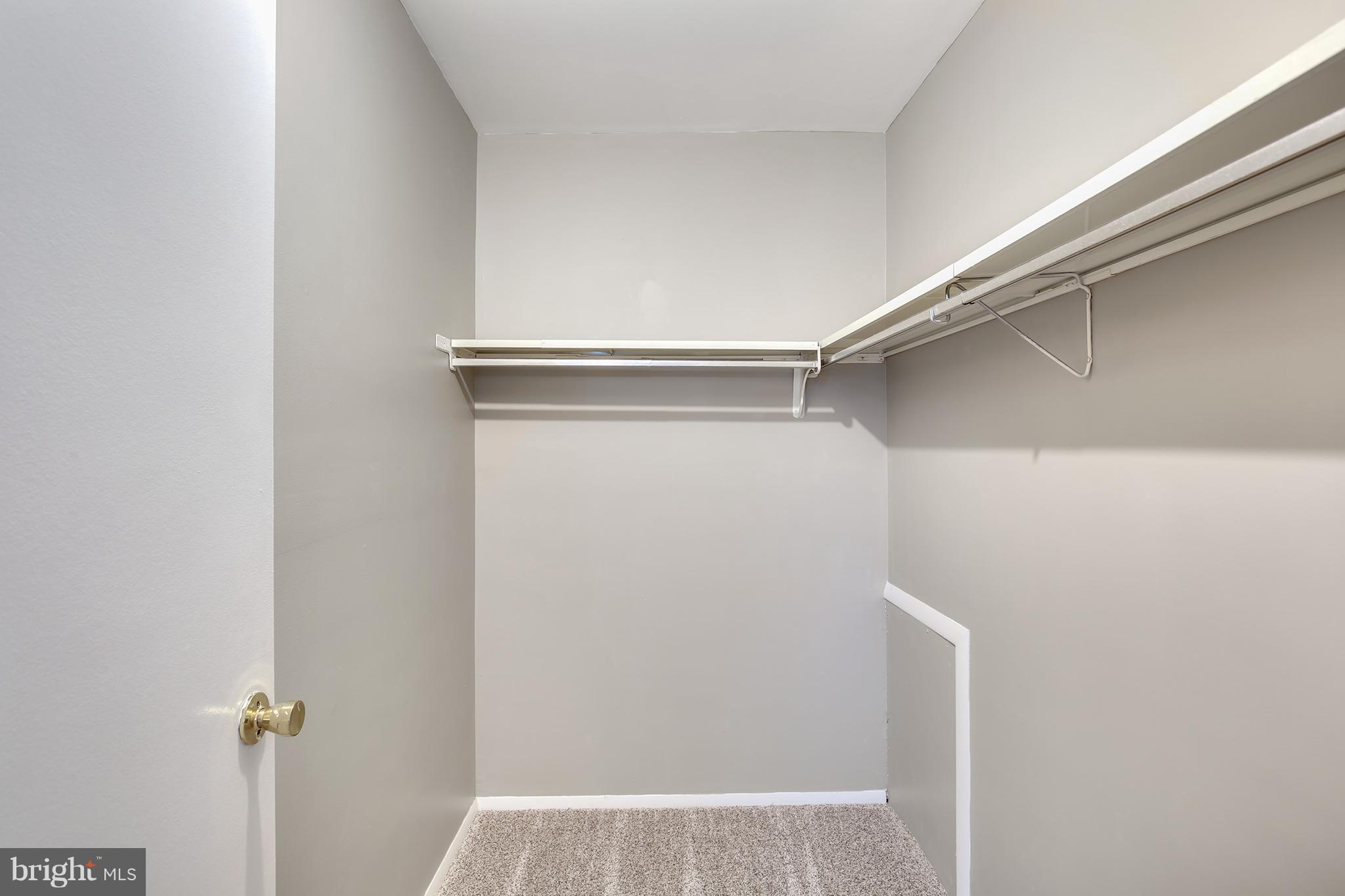 100 Applecreek Road Frederick, MD 21702 - Photo 25 of 30 a view of walk in closet with empty racks