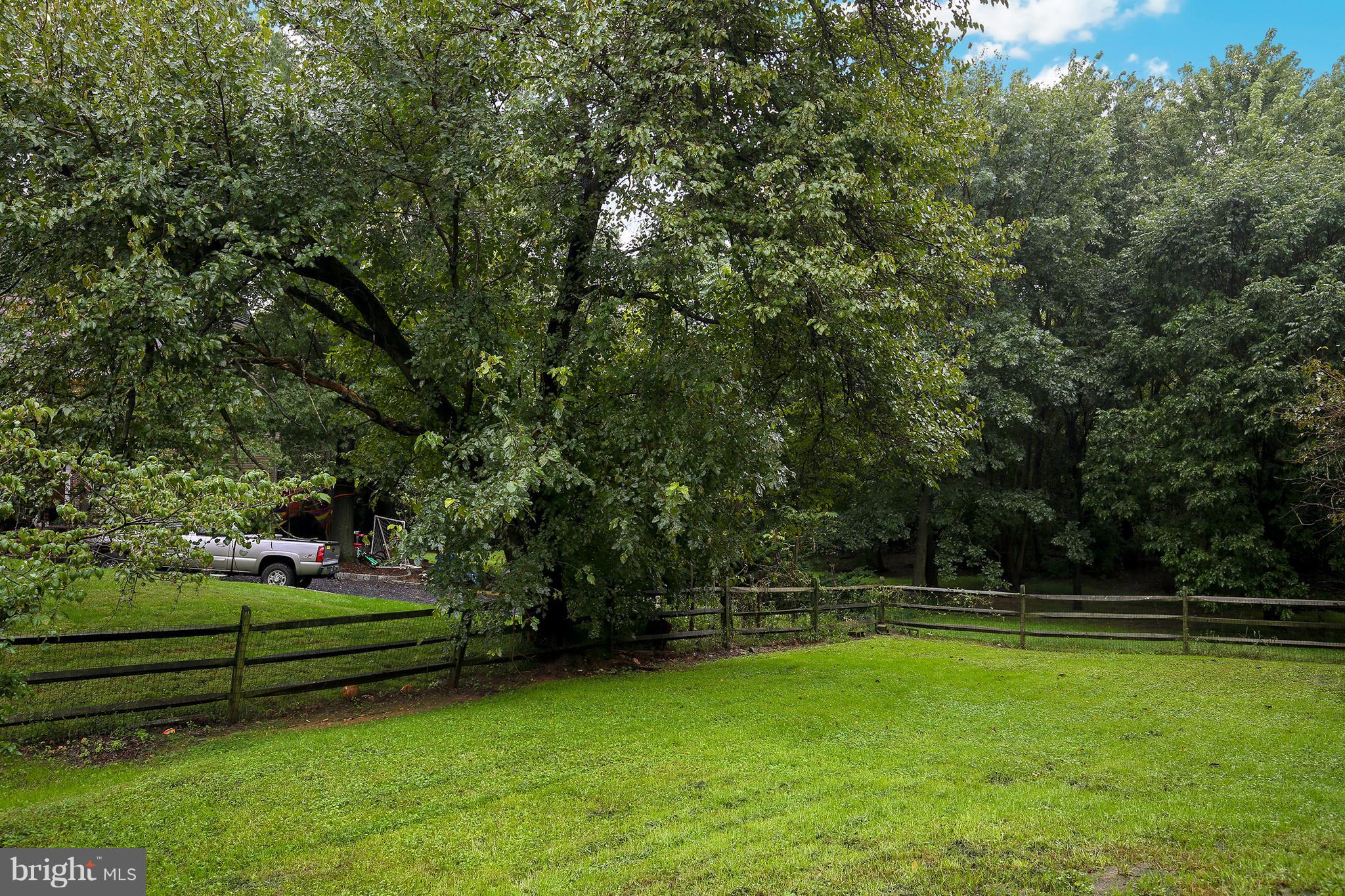 100 Applecreek Road Frederick, MD 21702 - Photo 29 of 30 a view of a park with large trees