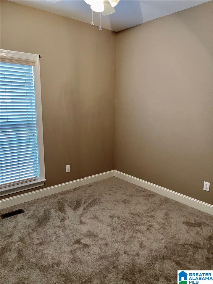 160 Turkey Trail Road Odenville, AL 35120 - Photo 22 of 22
