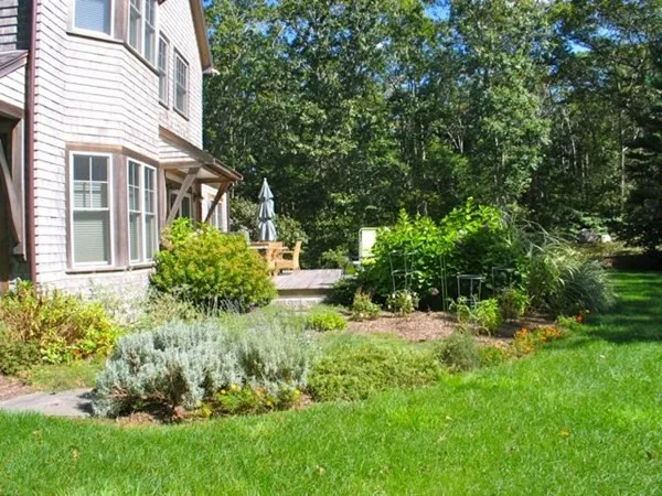 a backyard of a house with plants and large trees