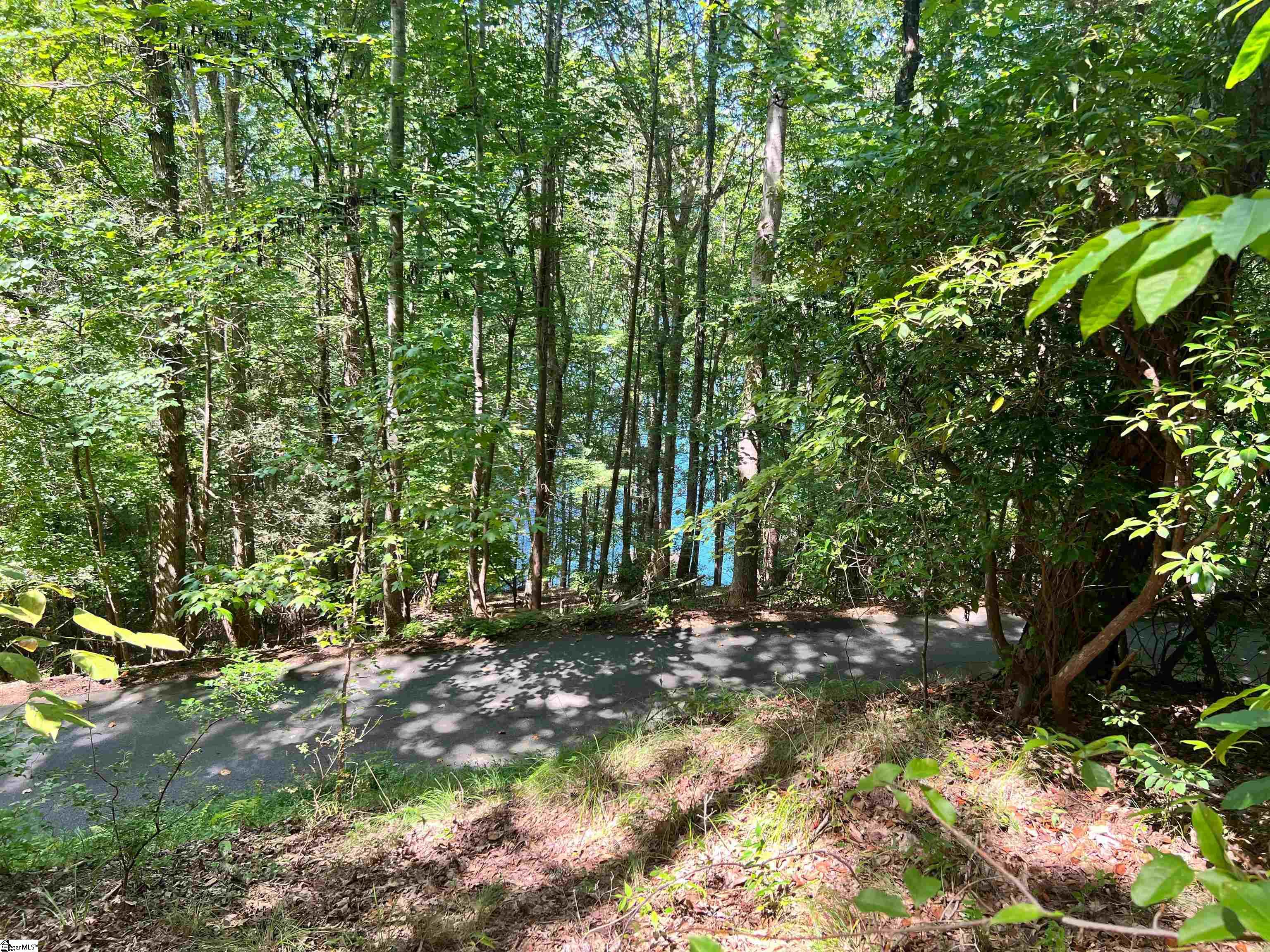 105 Great Camp Court Sunset, SC 29685 - Photo 13 of 36