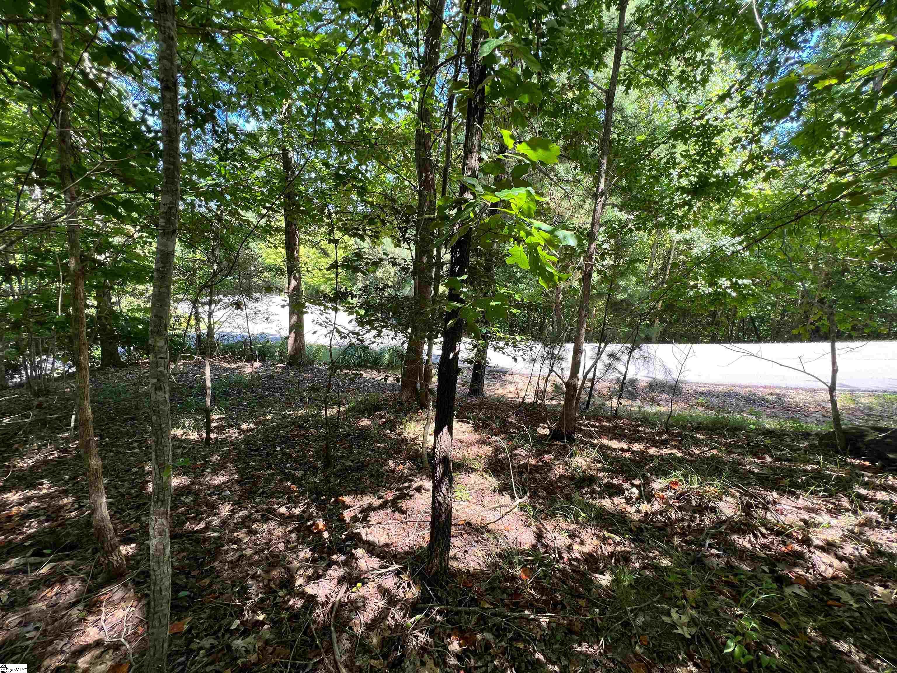 105 Great Camp Court Sunset, SC 29685 - Photo 16 of 36