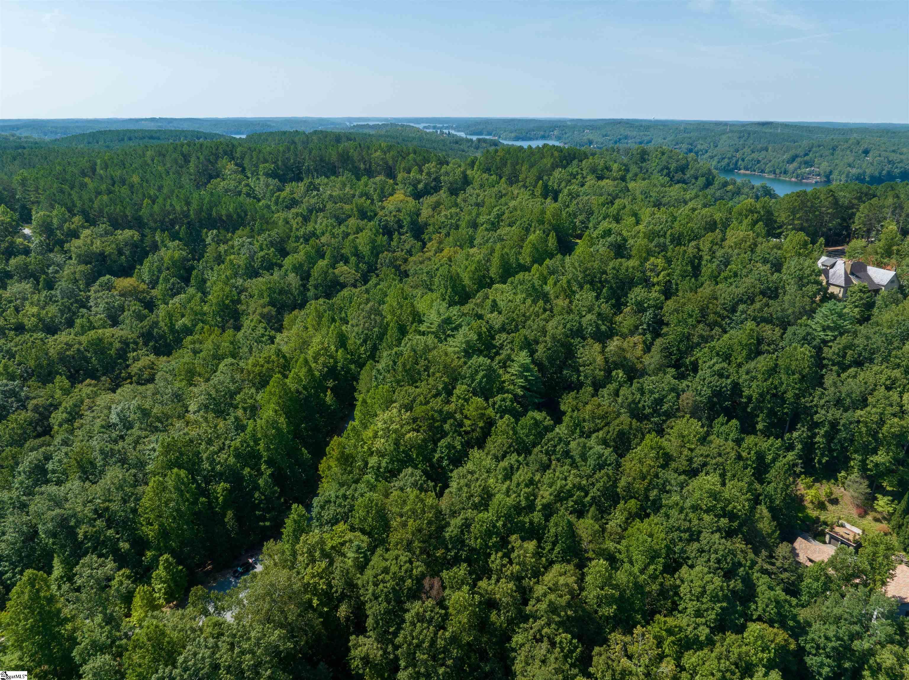105 Great Camp Court Sunset, SC 29685 - Photo 19 of 36