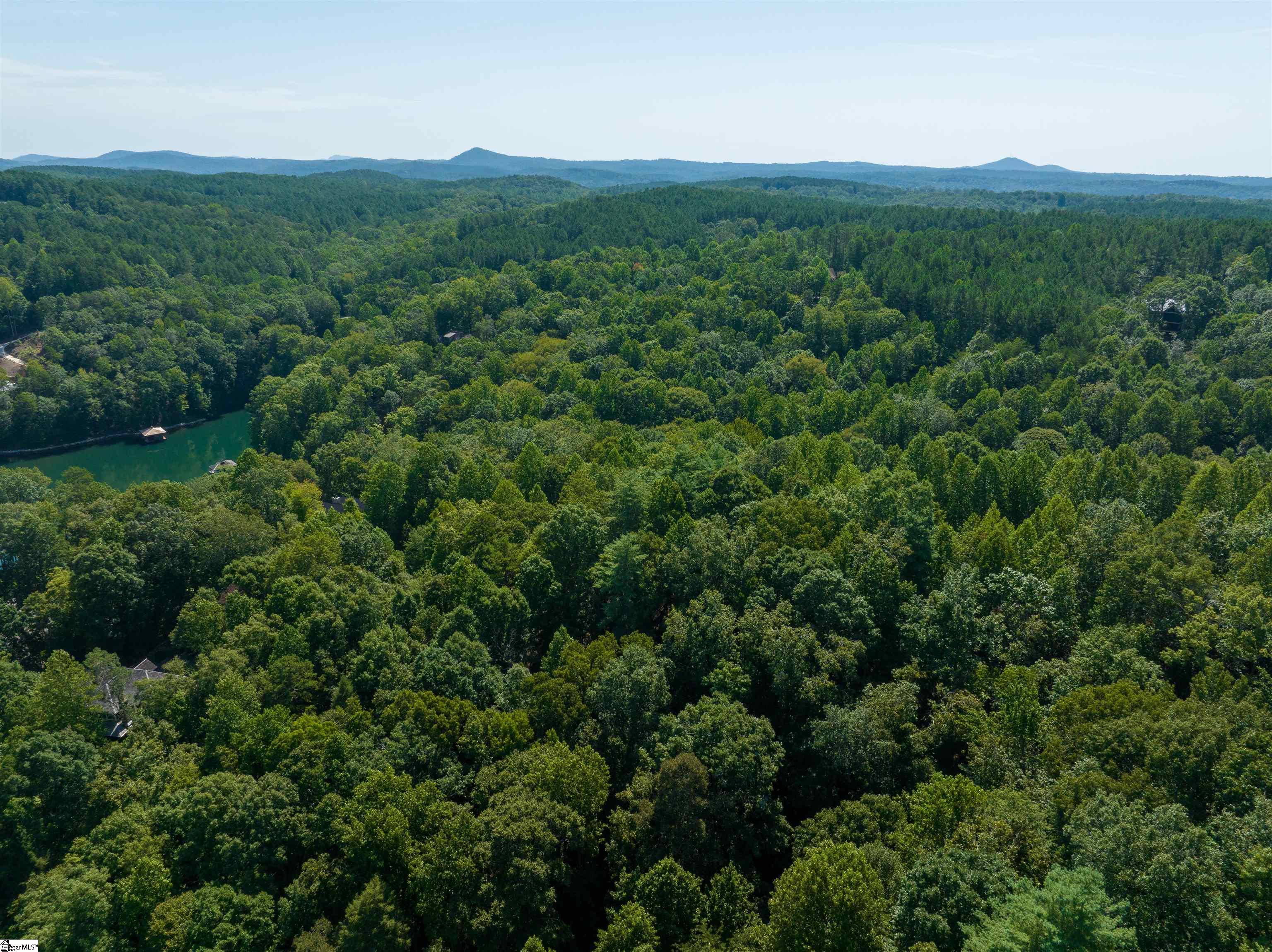 105 Great Camp Court Sunset, SC 29685 - Photo 21 of 36