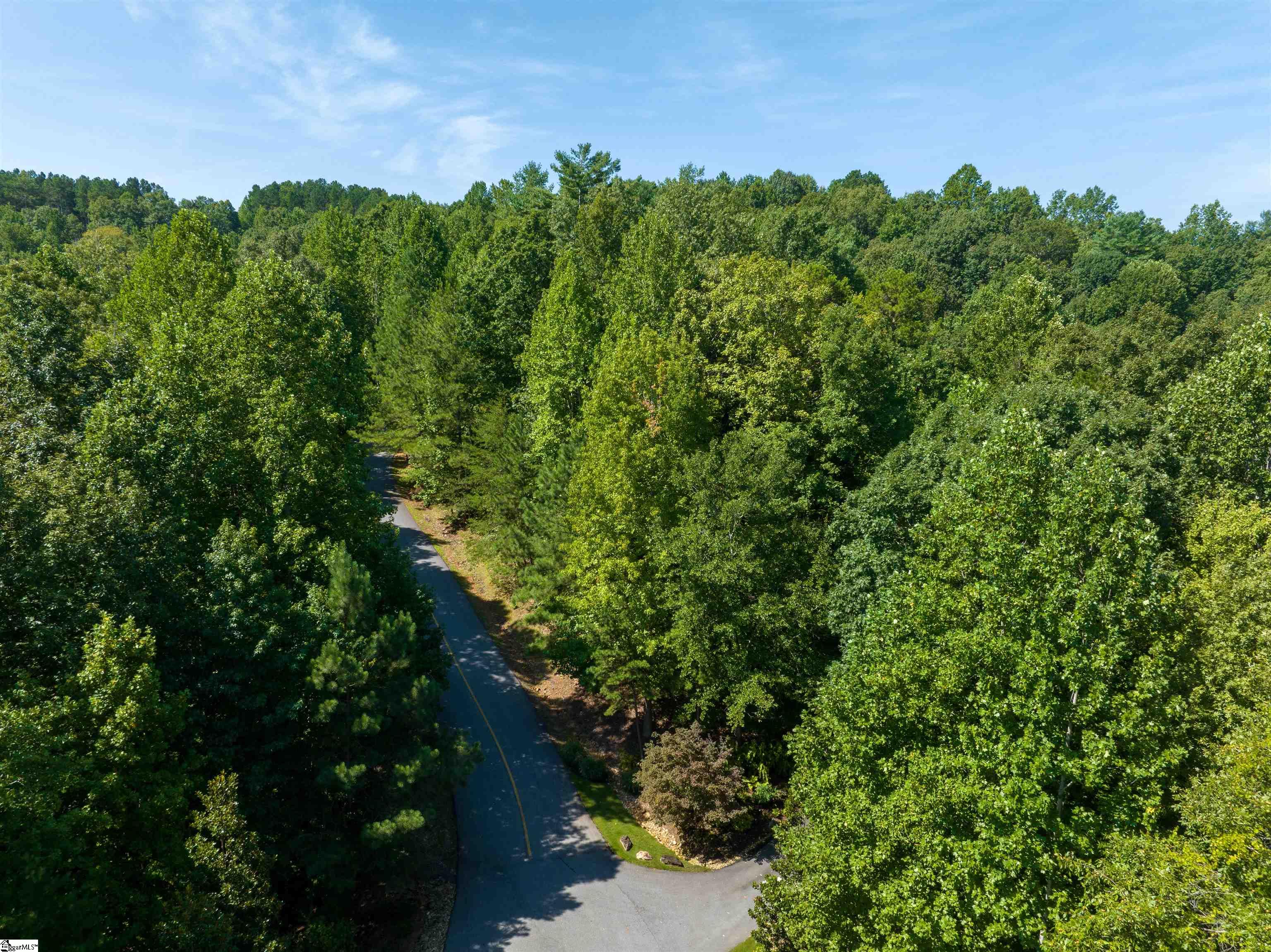 105 Great Camp Court Sunset, SC 29685 - Photo 26 of 36