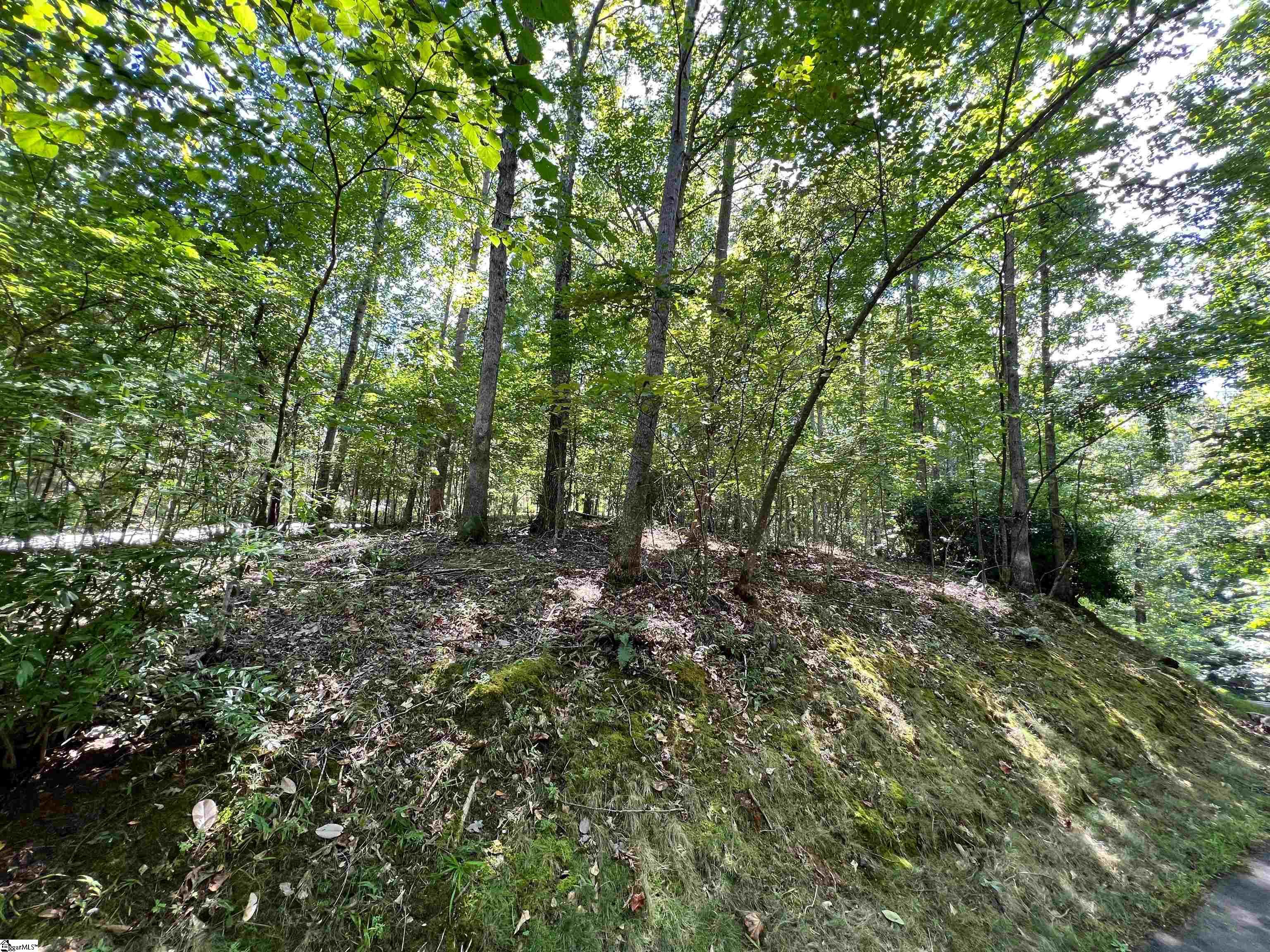 105 Great Camp Court Sunset, SC 29685 - Photo 9 of 36