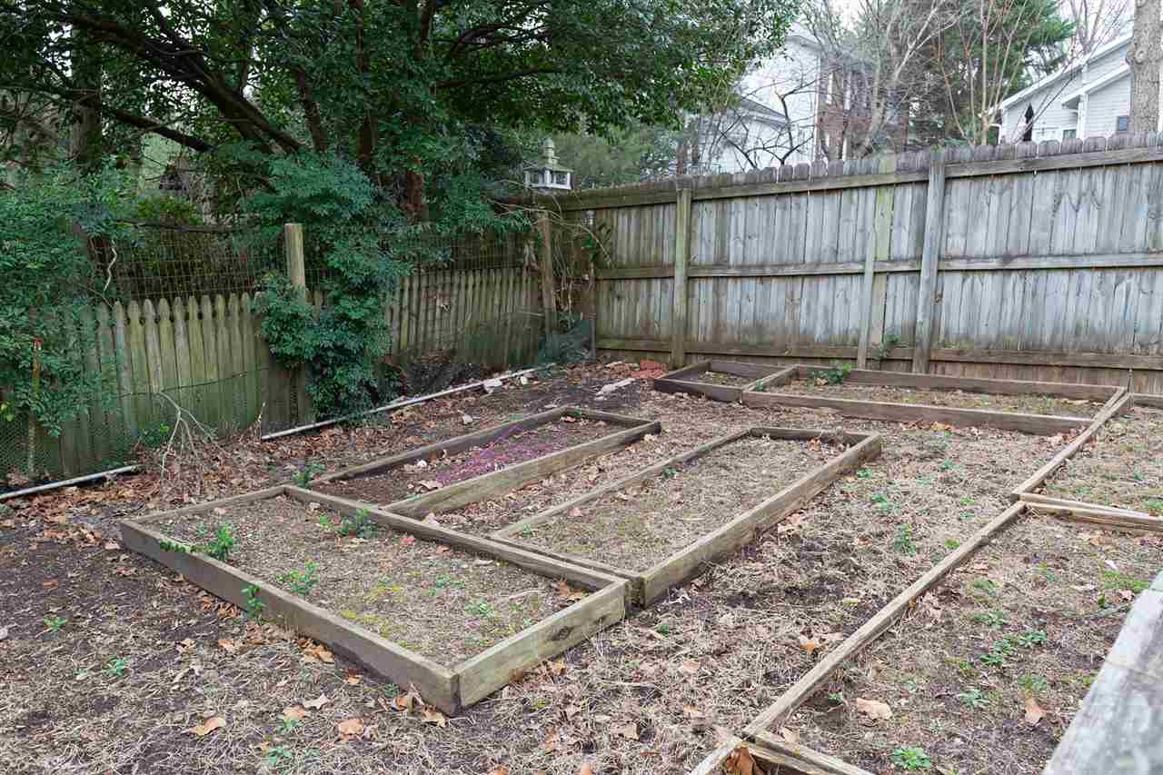 2119 Cowper Drive Raleigh, NC 27608 - Photo 29 of 30 Garden