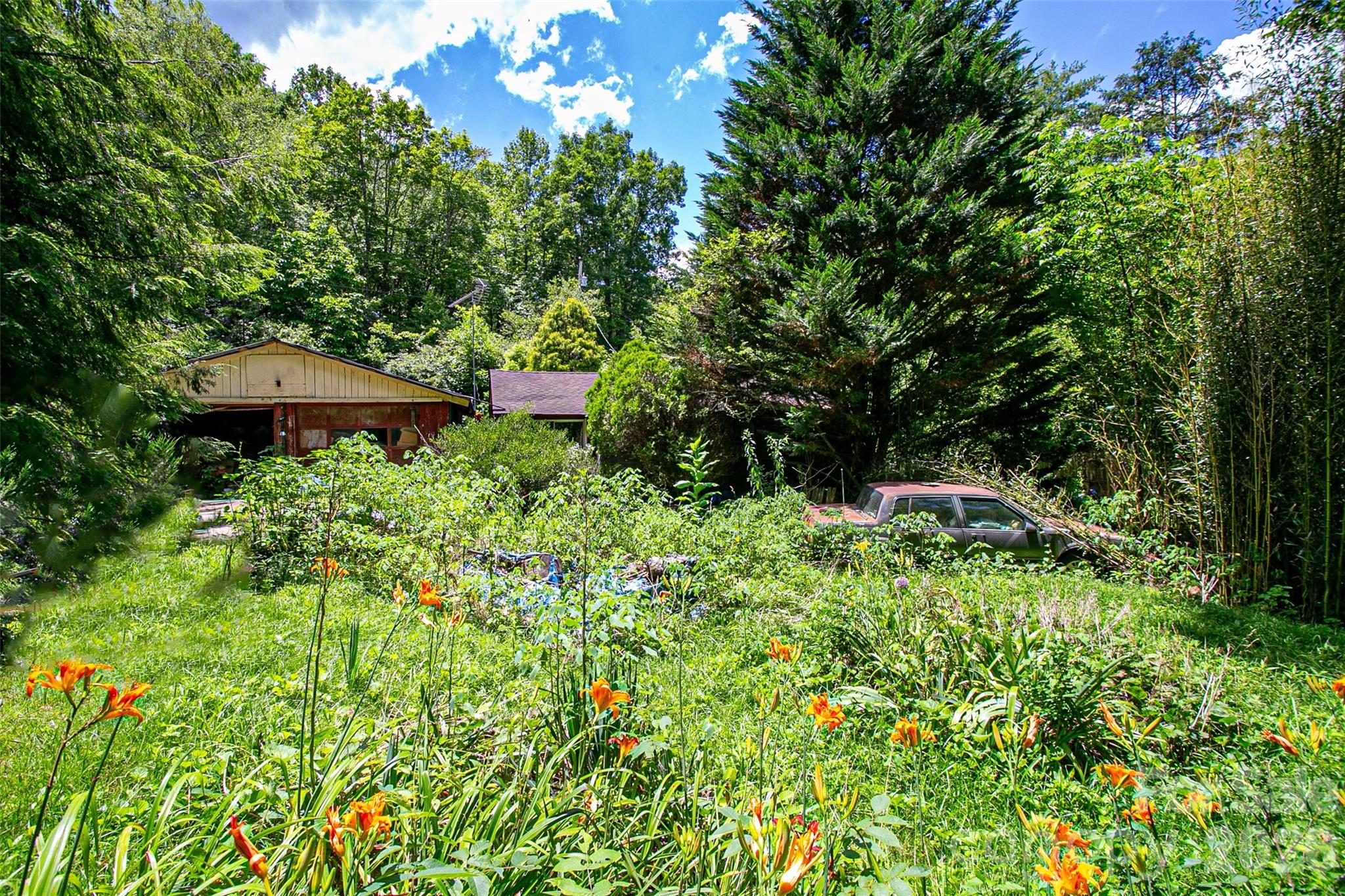 72 Bothy Road Brevard, NC 28712 - Photo 9 of 15 Gallery Image 9