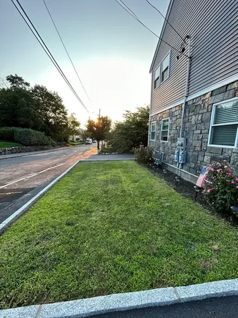 a view of a backyard with plants