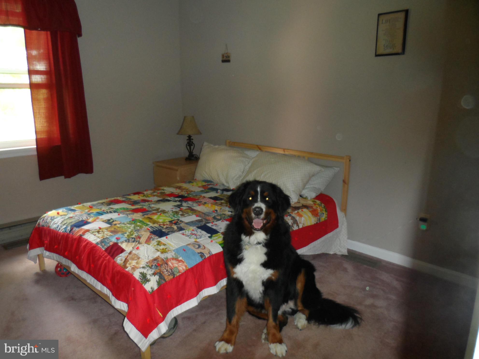 7426 Autumn Road Rapidan, VA 22733 - Photo 20 of 22 Bedroom and Puppy