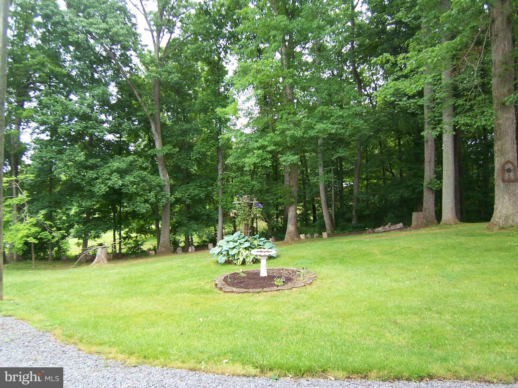 7426 Autumn Road Rapidan, VA 22733 - Photo 3 of 22 Exterior (General)