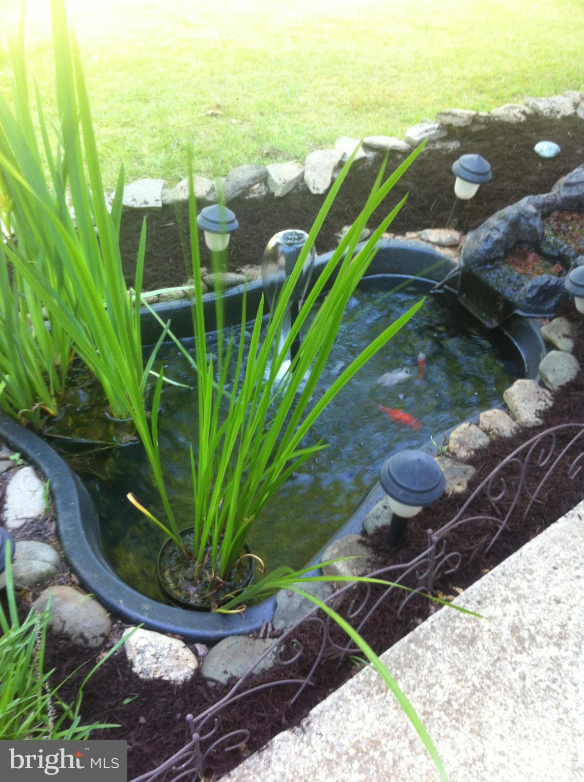 7426 Autumn Road Rapidan, VA 22733 - Photo 21 of 22 Koi Pond