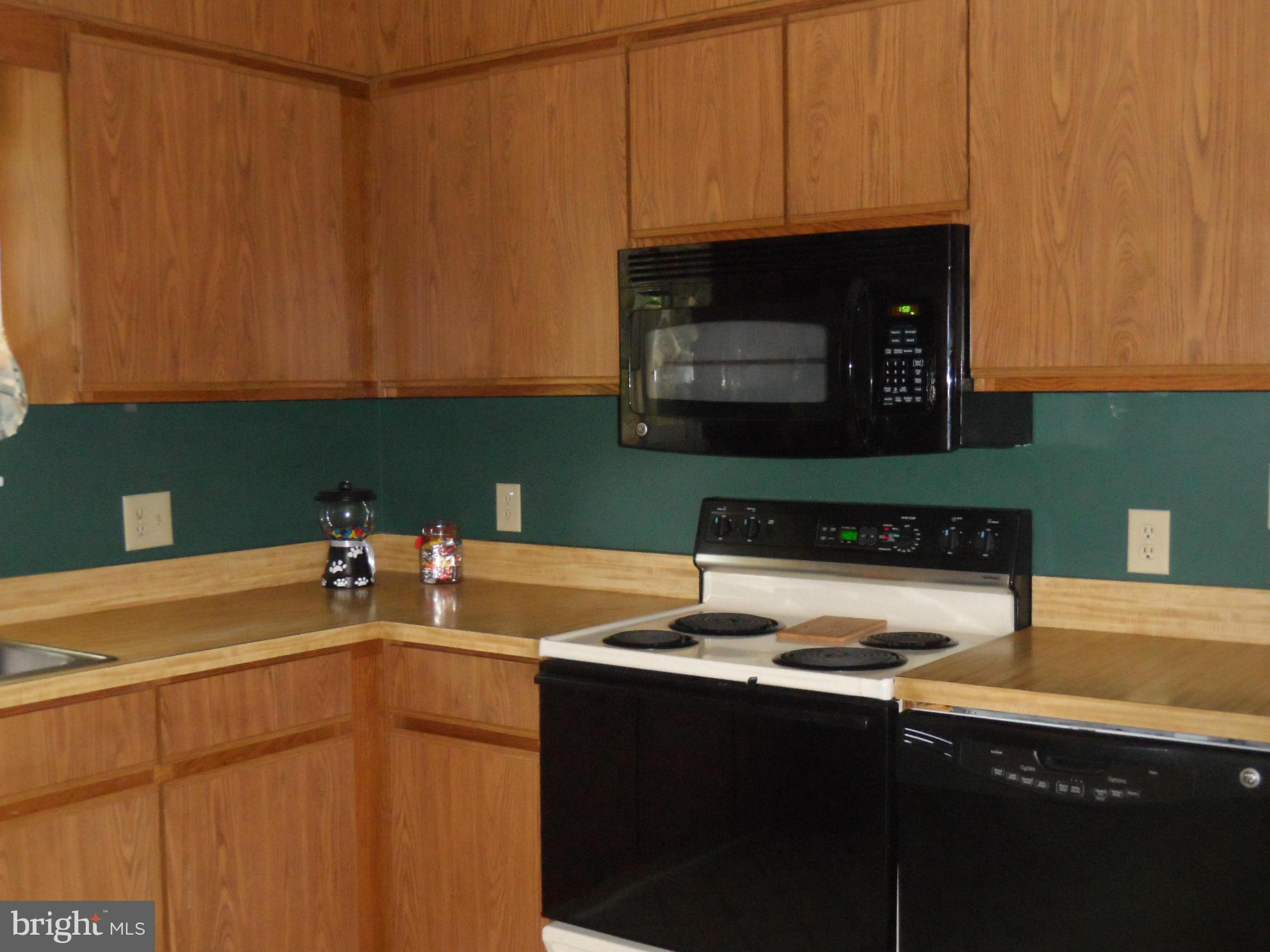 7426 Autumn Road Rapidan, VA 22733 - Photo 9 of 22 Kitchen