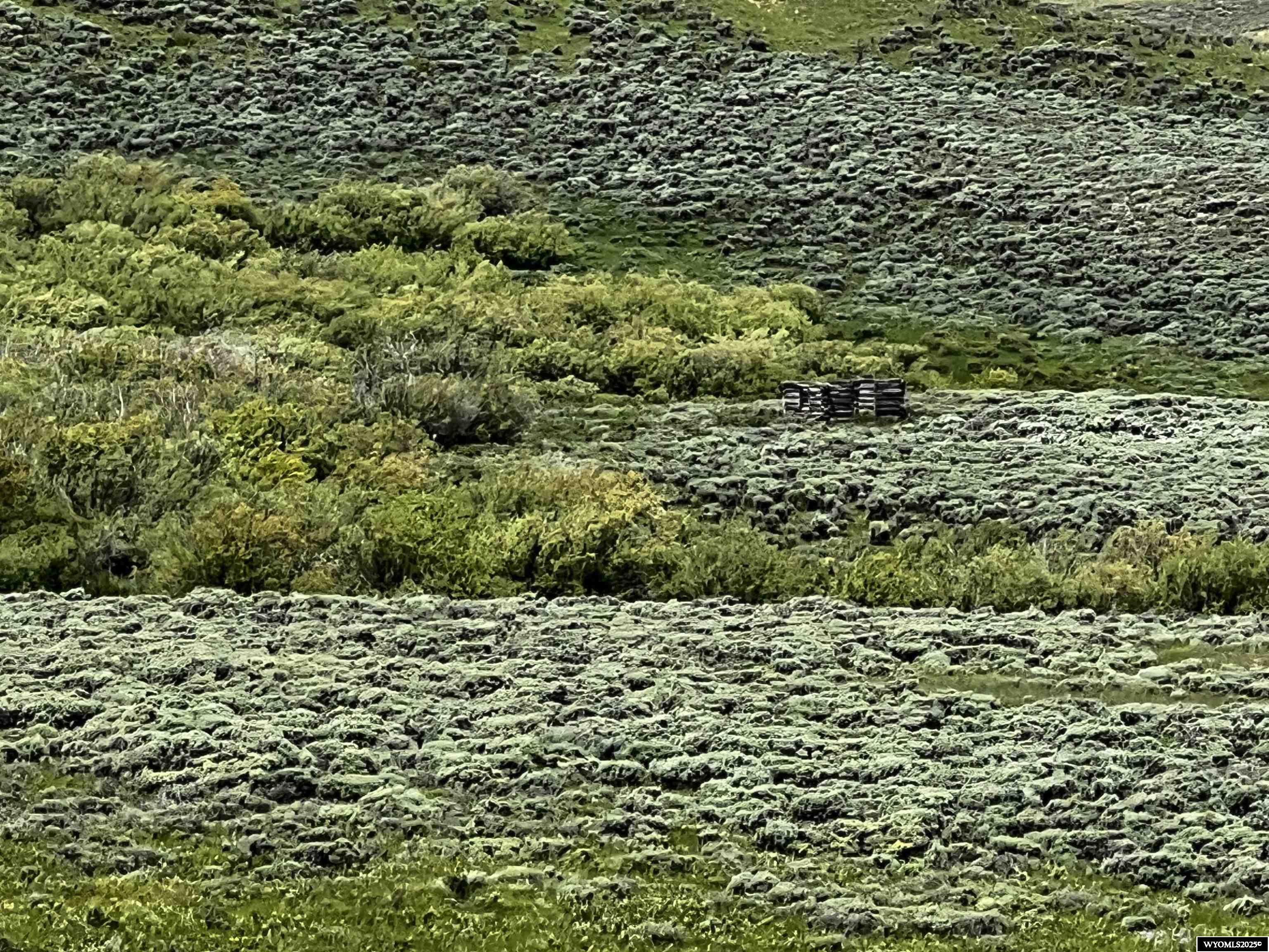 2 County Road 401 Road Rawlins, WY 82301 - Photo 5 of 7