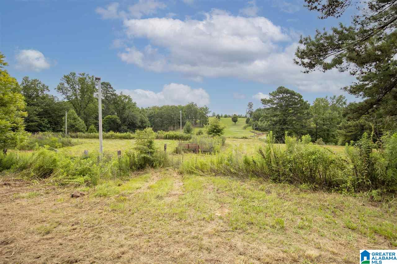 84 Jim Thomas Road Hayden, AL 35079 - Photo 38 of 42