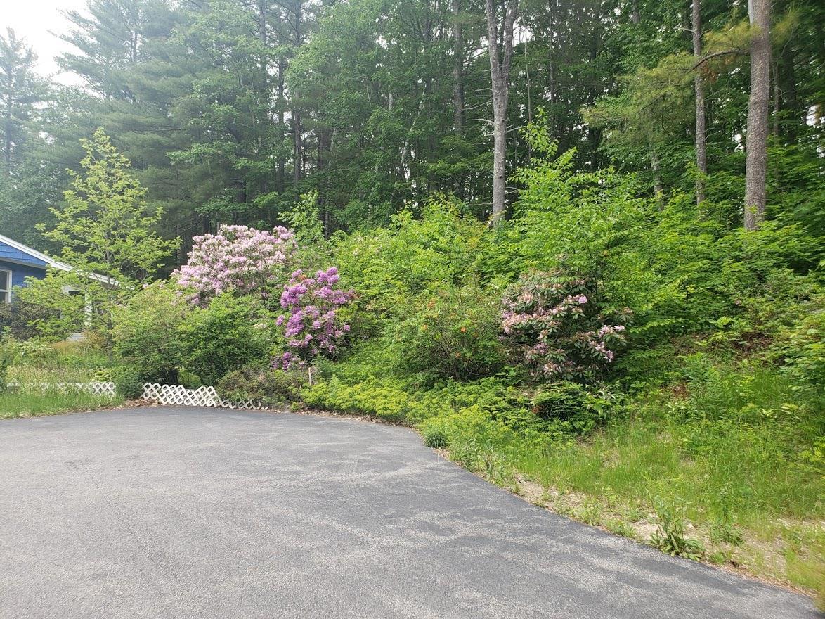136 Prescott Road Pittsfield, NH 03263 - Photo 14 of 17