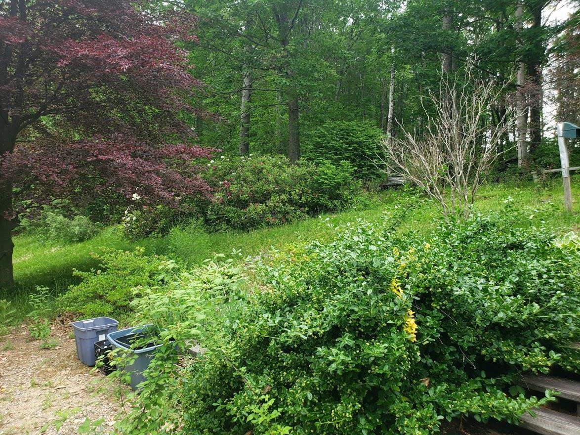 136 Prescott Road Pittsfield, NH 03263 - Photo 3 of 17
