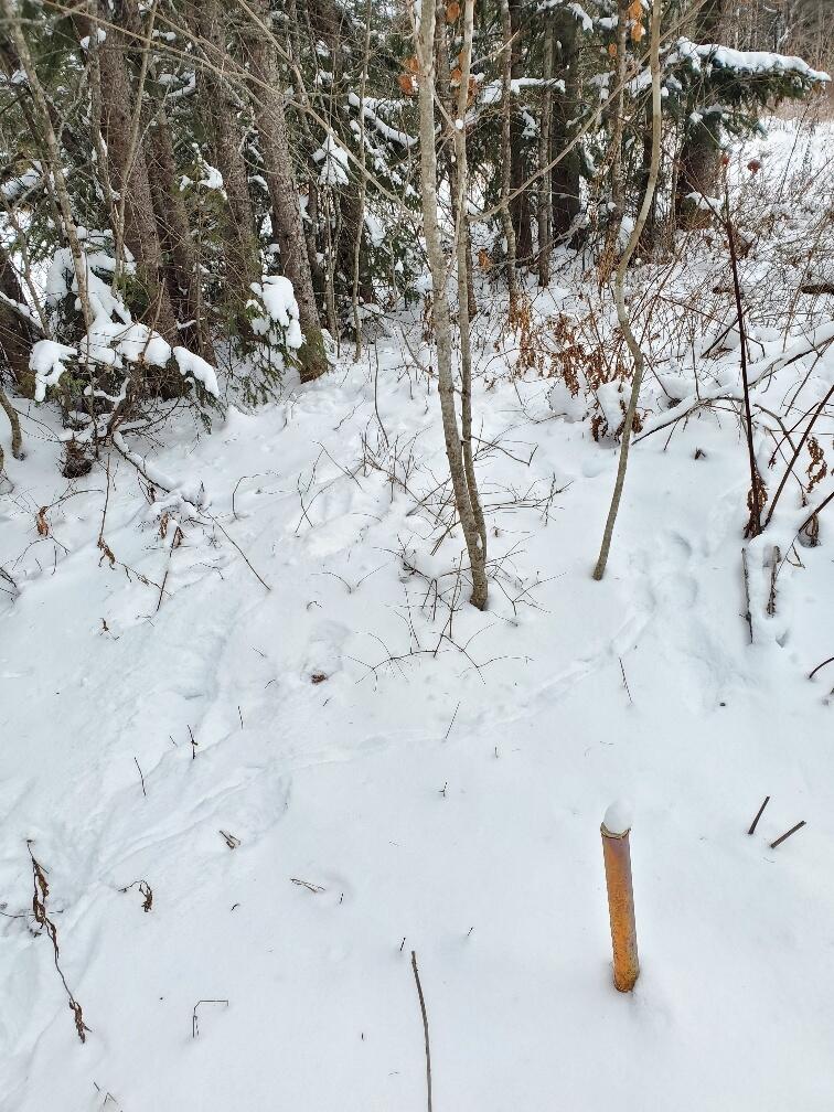 0 Off Jemtland Road Caribou, ME 04736 - Photo 12 of 14 southerly front corner pin