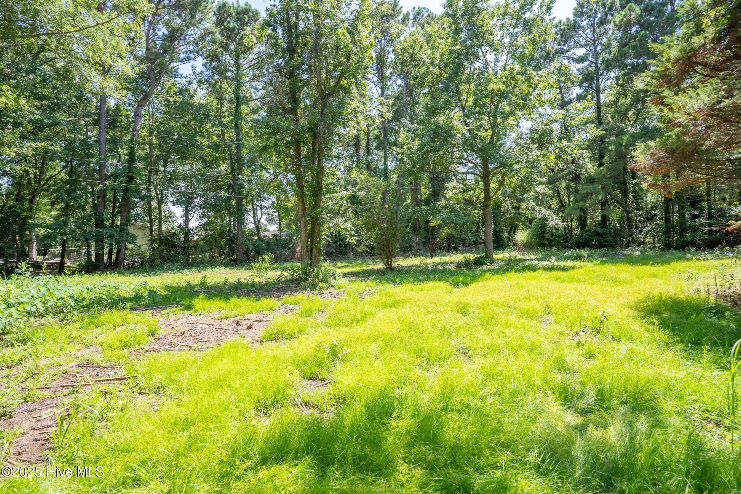 1305 Burnett Road Wilmington, NC 28409 - Photo 2 of 16 Kelly U -18