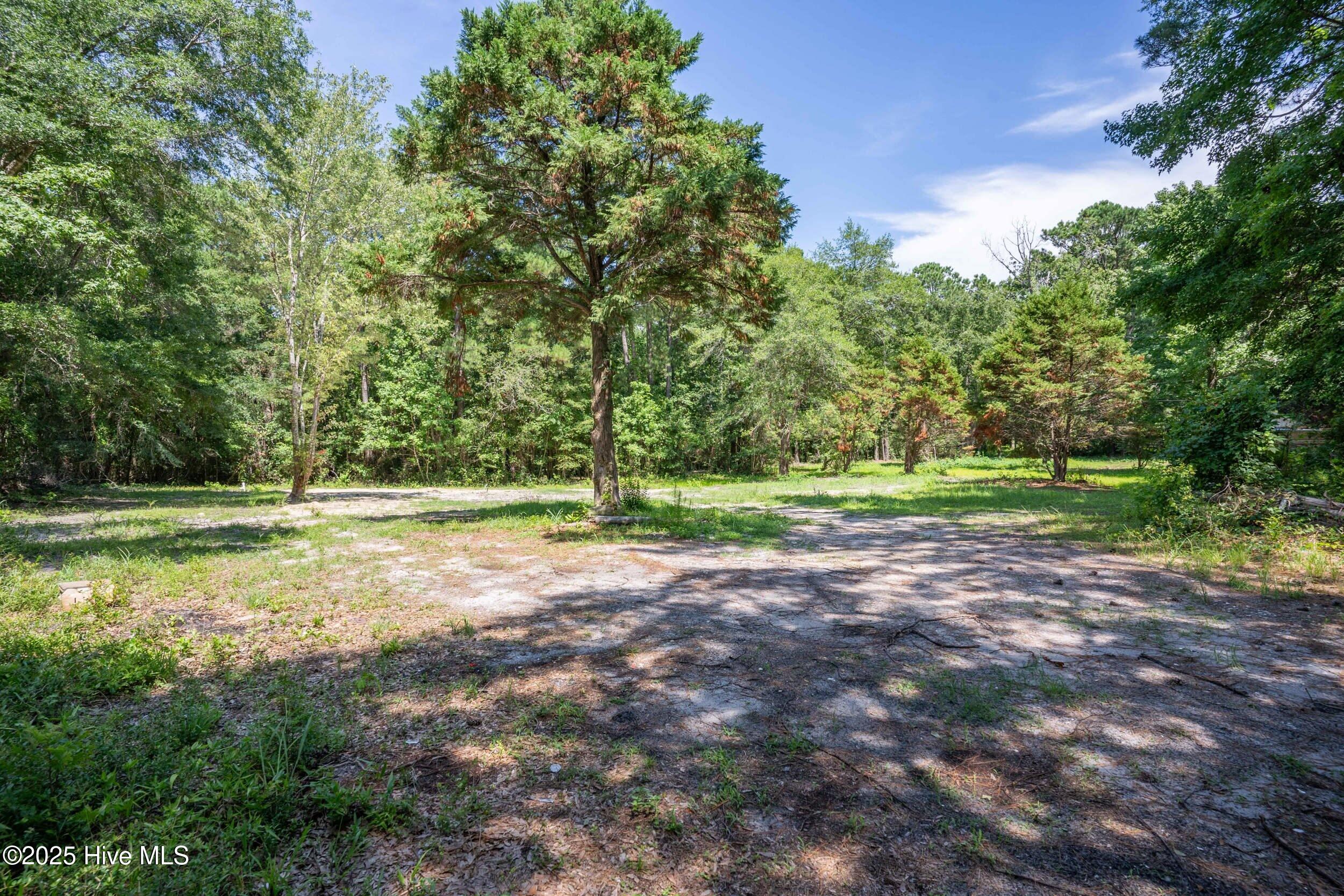 1305 Burnett Road Wilmington, NC 28409 - Photo 4 of 16 Kelly U -13