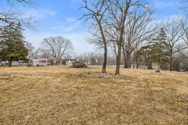 a view of a yard with trees