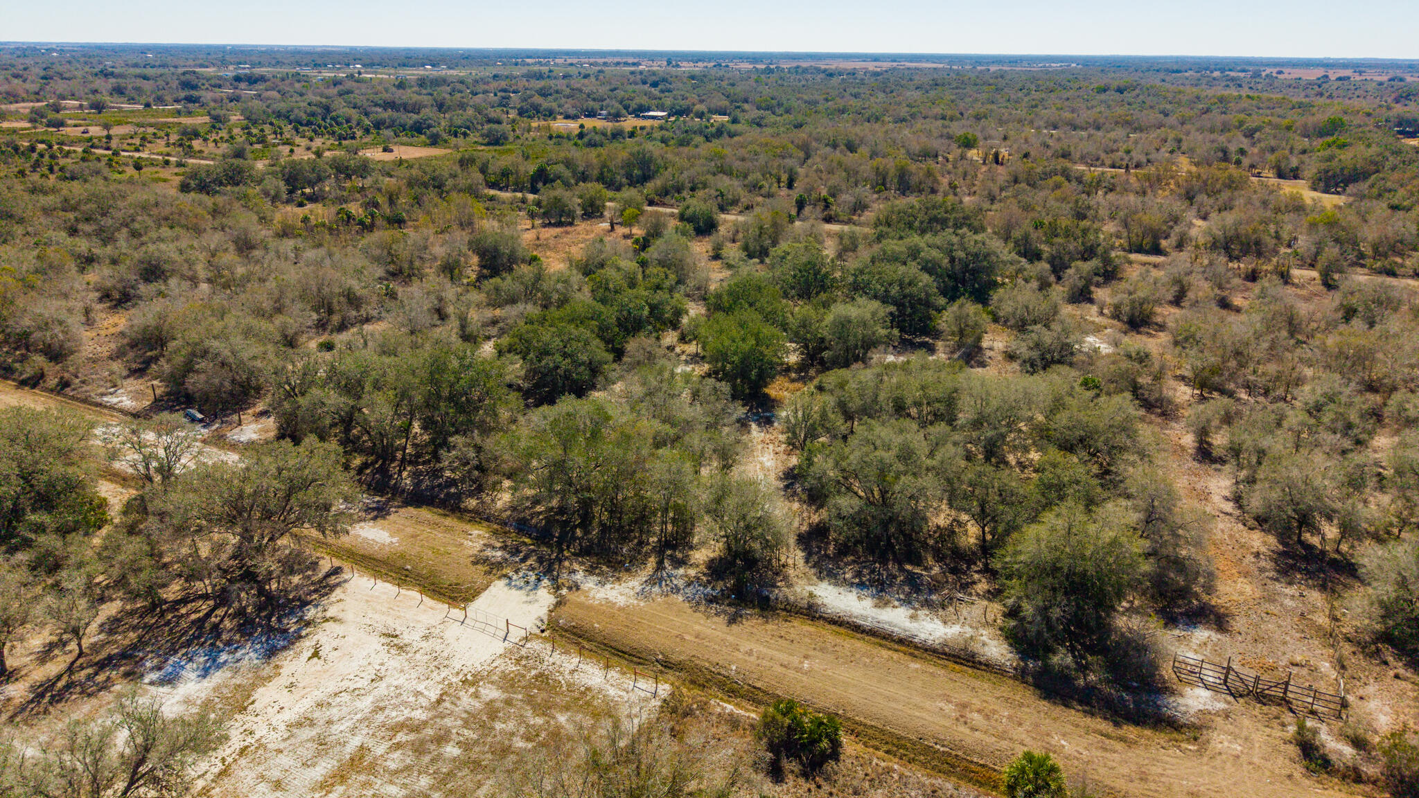 an aerial view of forest