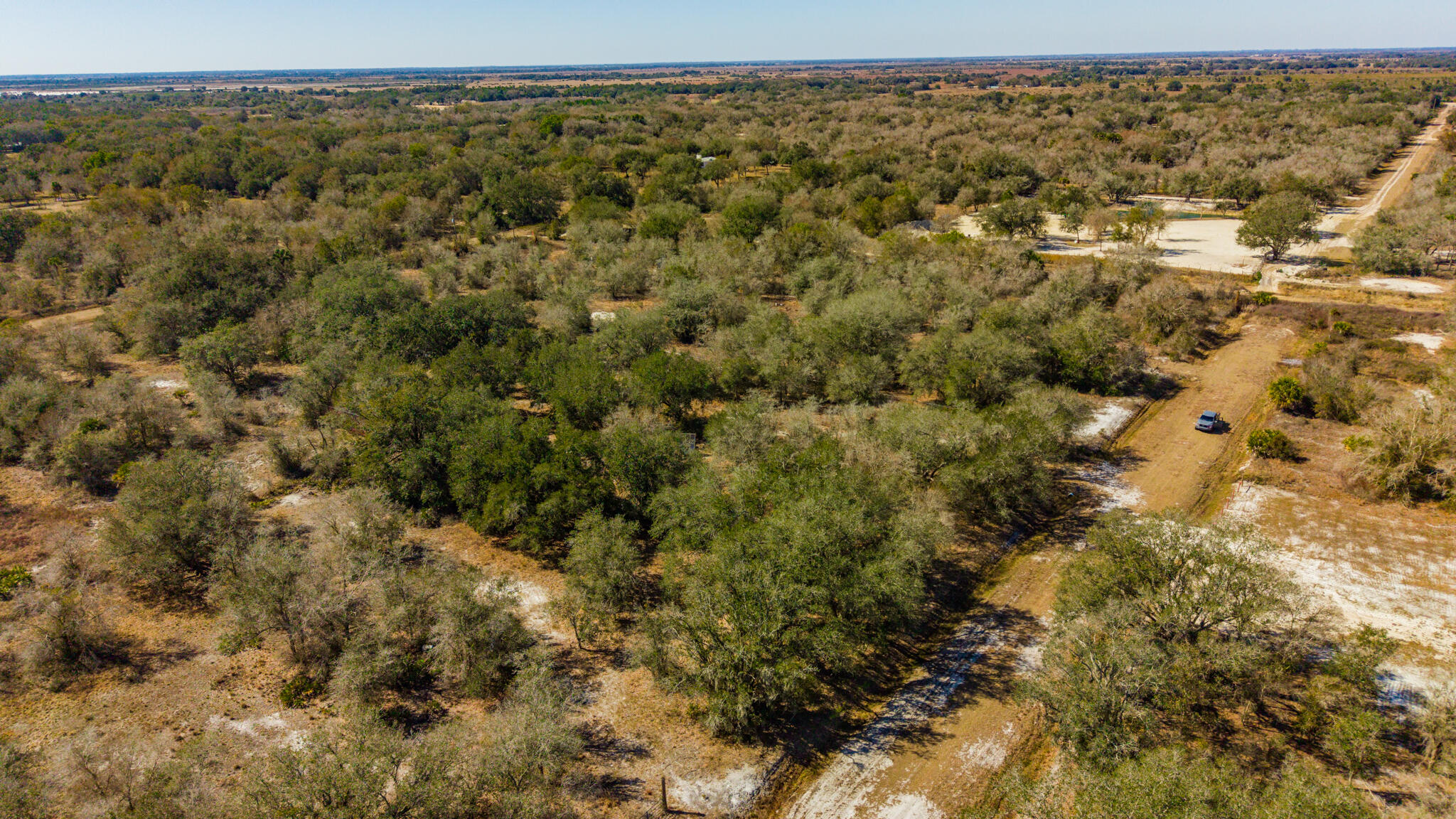 21486 Northwest 262nd Street Okeechobee, FL 34972 - Photo 11 of 22 a view of a forest with a street