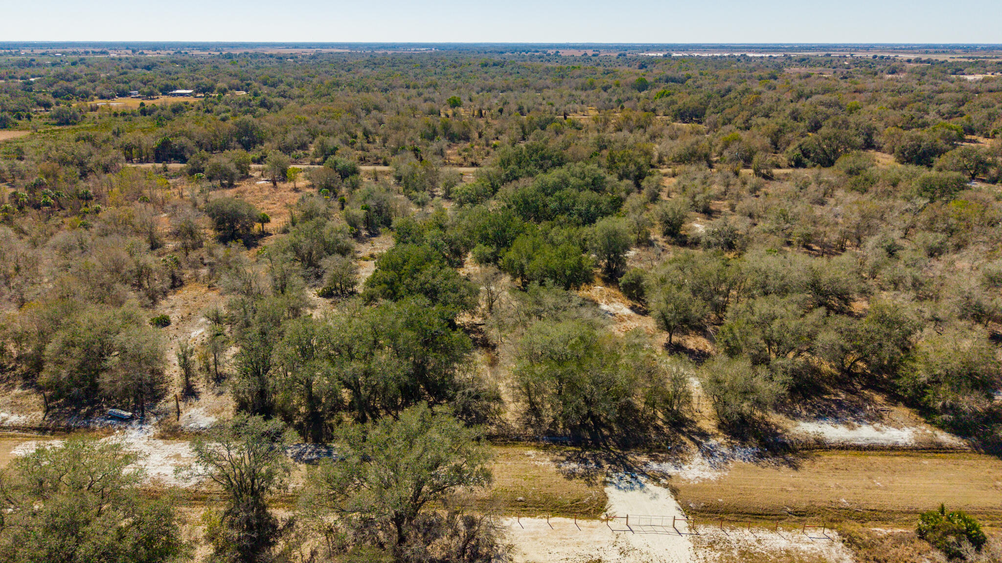21486 Northwest 262nd Street Okeechobee, FL 34972 - Photo 2 of 22 a view of a forest with trees in the background