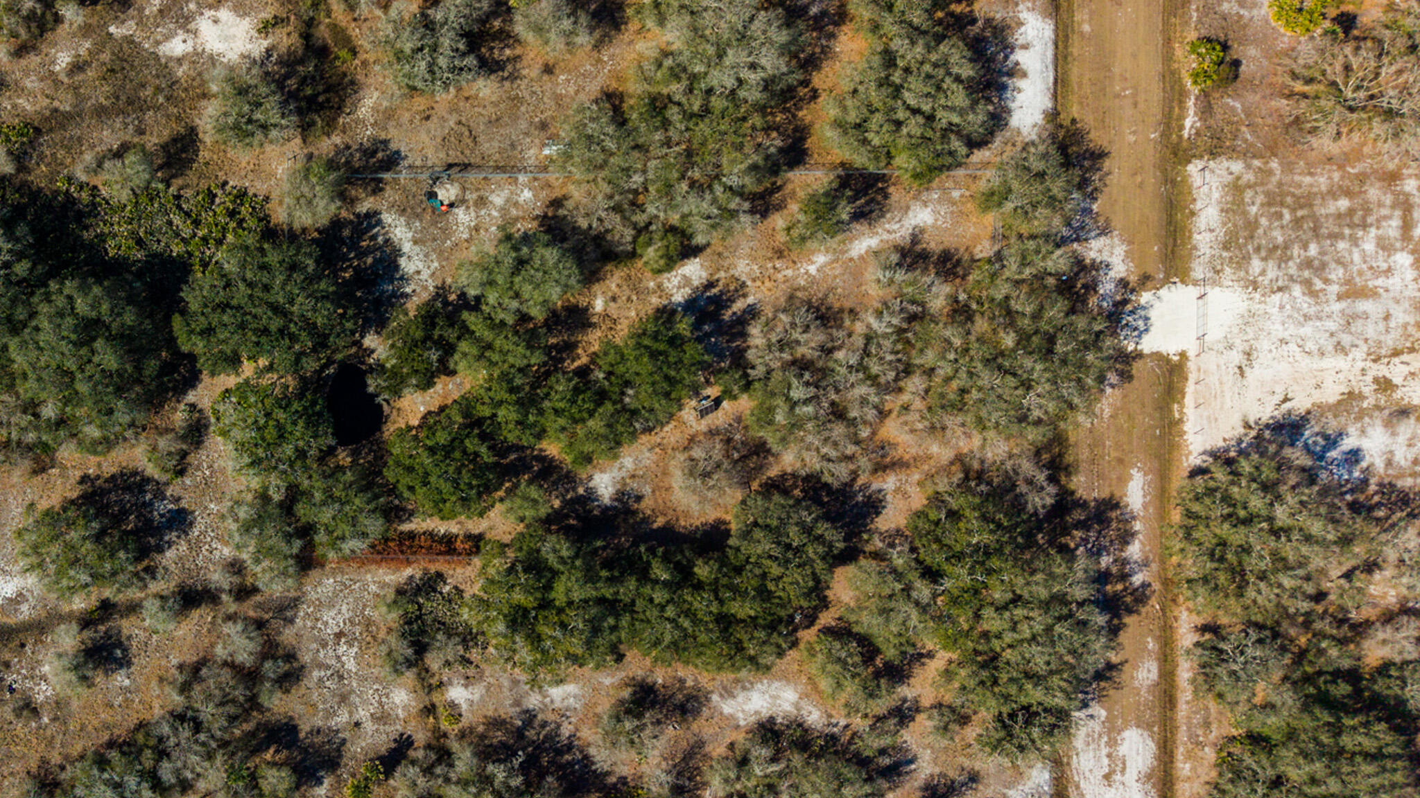 21486 Northwest 262nd Street Okeechobee, FL 34972 - Photo 3 of 22 a view of a house with a lush green forest